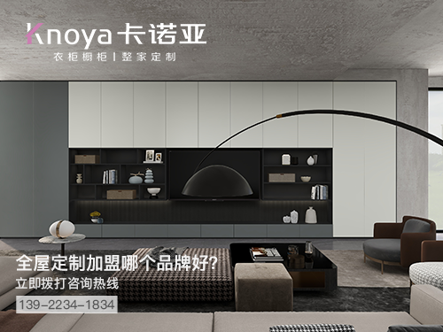 博羅縣全屋定制加盟哪個品牌好?